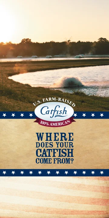 TCI Import Info Brochure Brochure